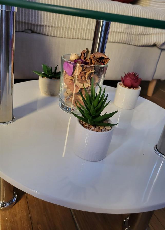Rijeka Apartment With Free Parking And Large Balcony Exteriér fotografie