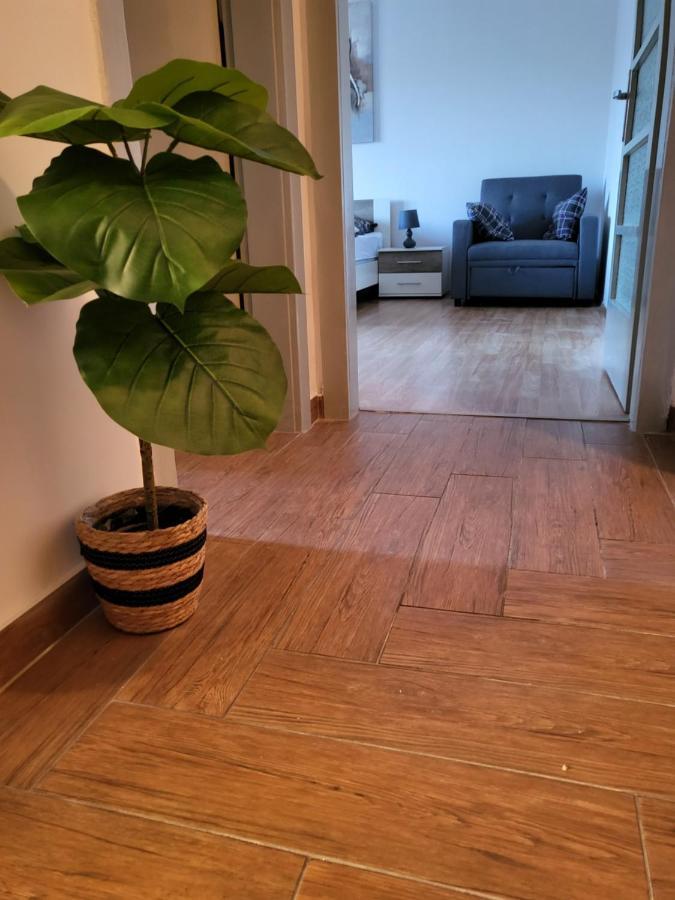 Rijeka Apartment With Free Parking And Large Balcony Exteriér fotografie
